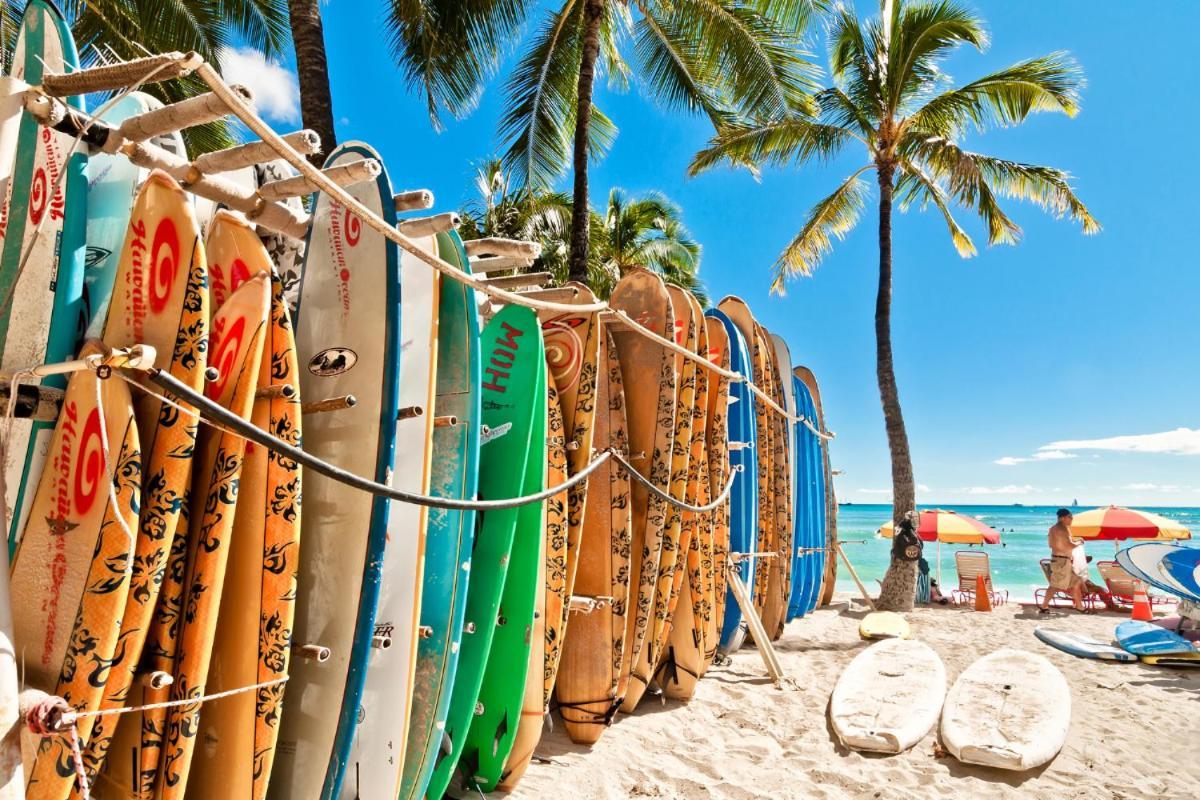 Renovated With City View At Aqua Palms Waikiki هونولولو المظهر الخارجي الصورة