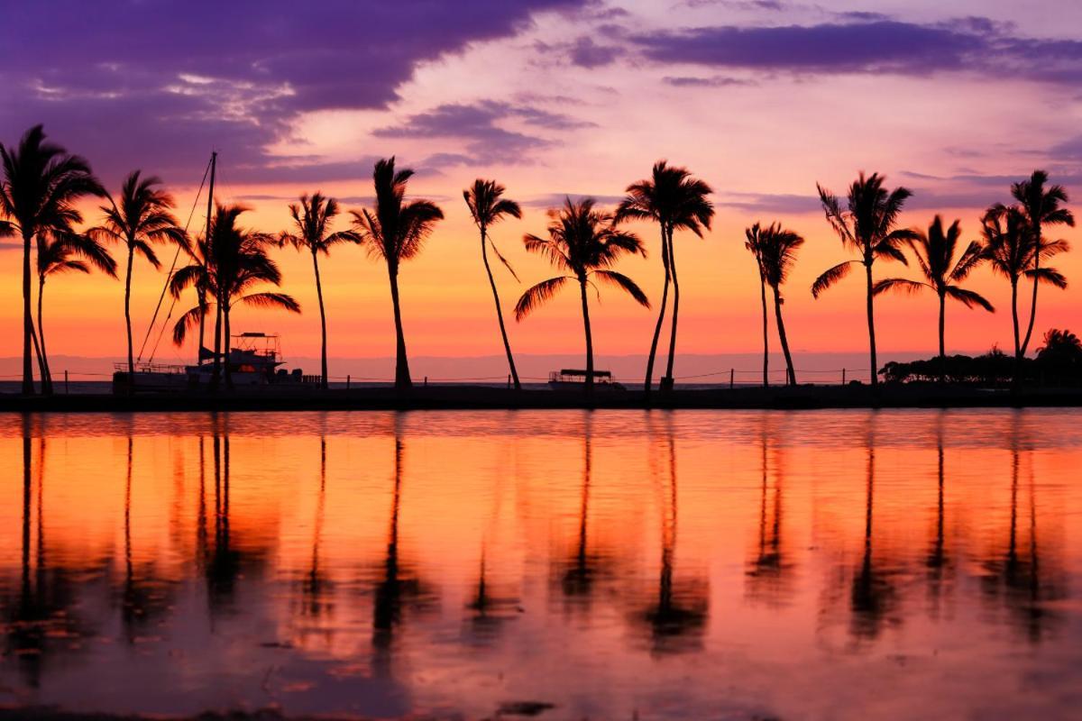 Renovated With City View At Aqua Palms Waikiki هونولولو المظهر الخارجي الصورة